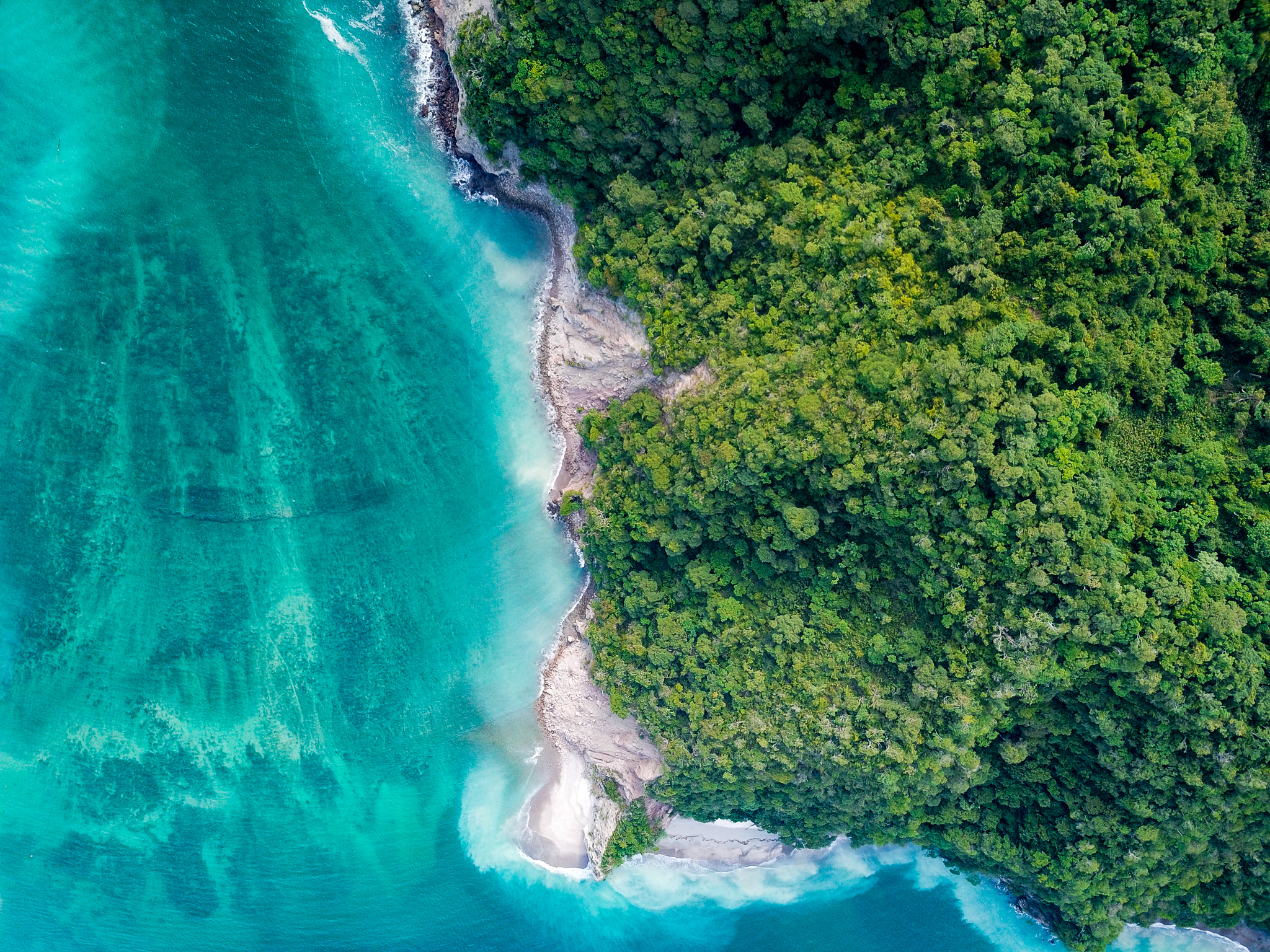 Tortuga island sea tree texture